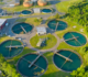 The Role of Water Treatment Chemicals in Ensuring Clean and Safe Water